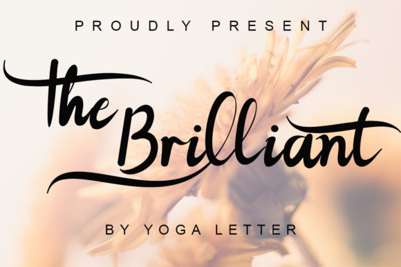 The Brilliant Typeface for Web Design and Branding